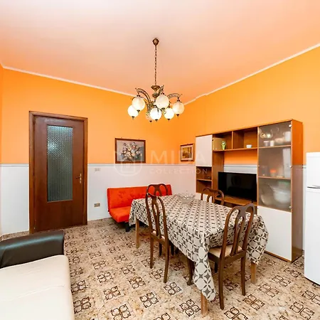 Happy Summer Apartment *